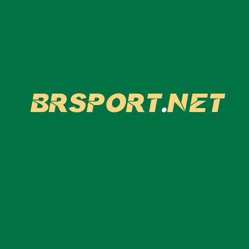 Logo da BRSPORT.NET